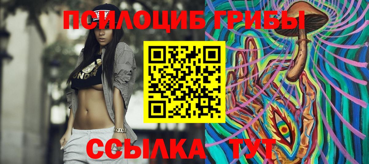Галлюциногенные грибы Psilocybine cubensis Ноябрьск