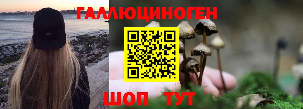 Псилоцибиновые грибы GOLDEN TEACHER  Вход с VPN  Ноябрьск  Псилоцибиновые грибы Cubensis 